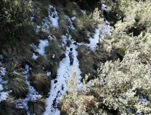 Quebrada Guayacán | 5K